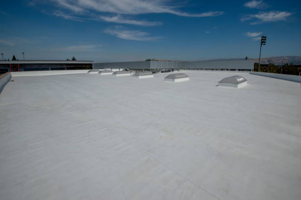Roof Coating Services in Rockdale, IL